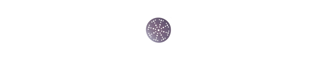 Disques Abrasifs - 150mm - 48 trous (grain 80 à 2000)